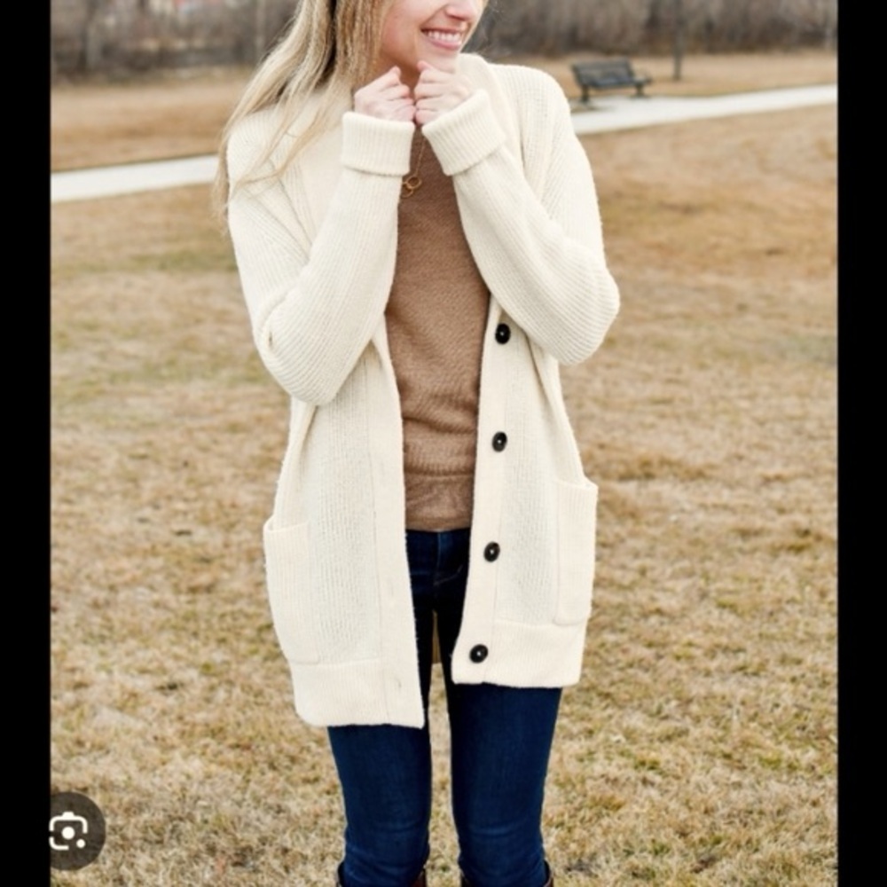 everlane the chunky knit 100% wool longline cardigan
